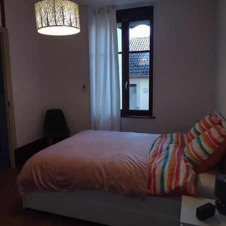 Appartement 1Er Etage Proche Des Termes Bourbonne-les-Bains Dış mekan fotoğraf